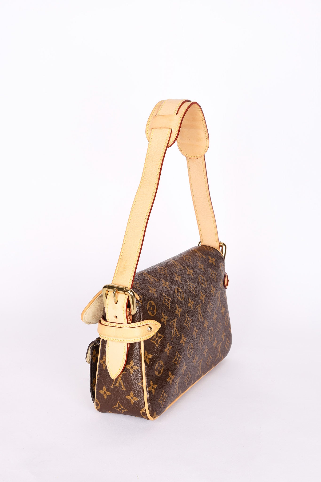 Louis Vuitton Monogram Hudson PM
