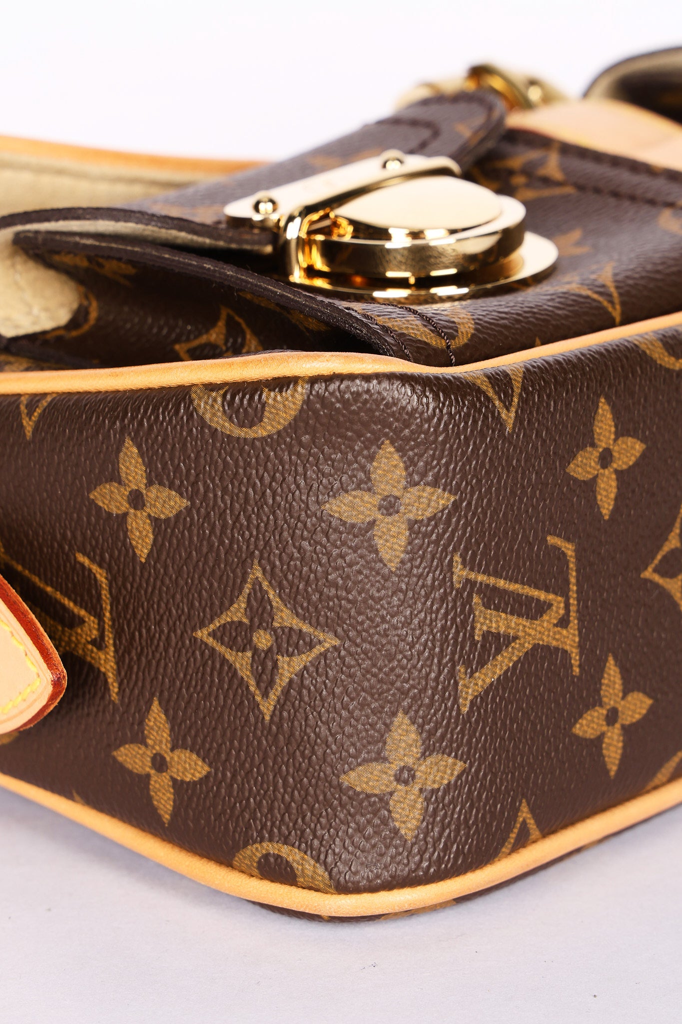 Louis Vuitton Monogram Hudson PM