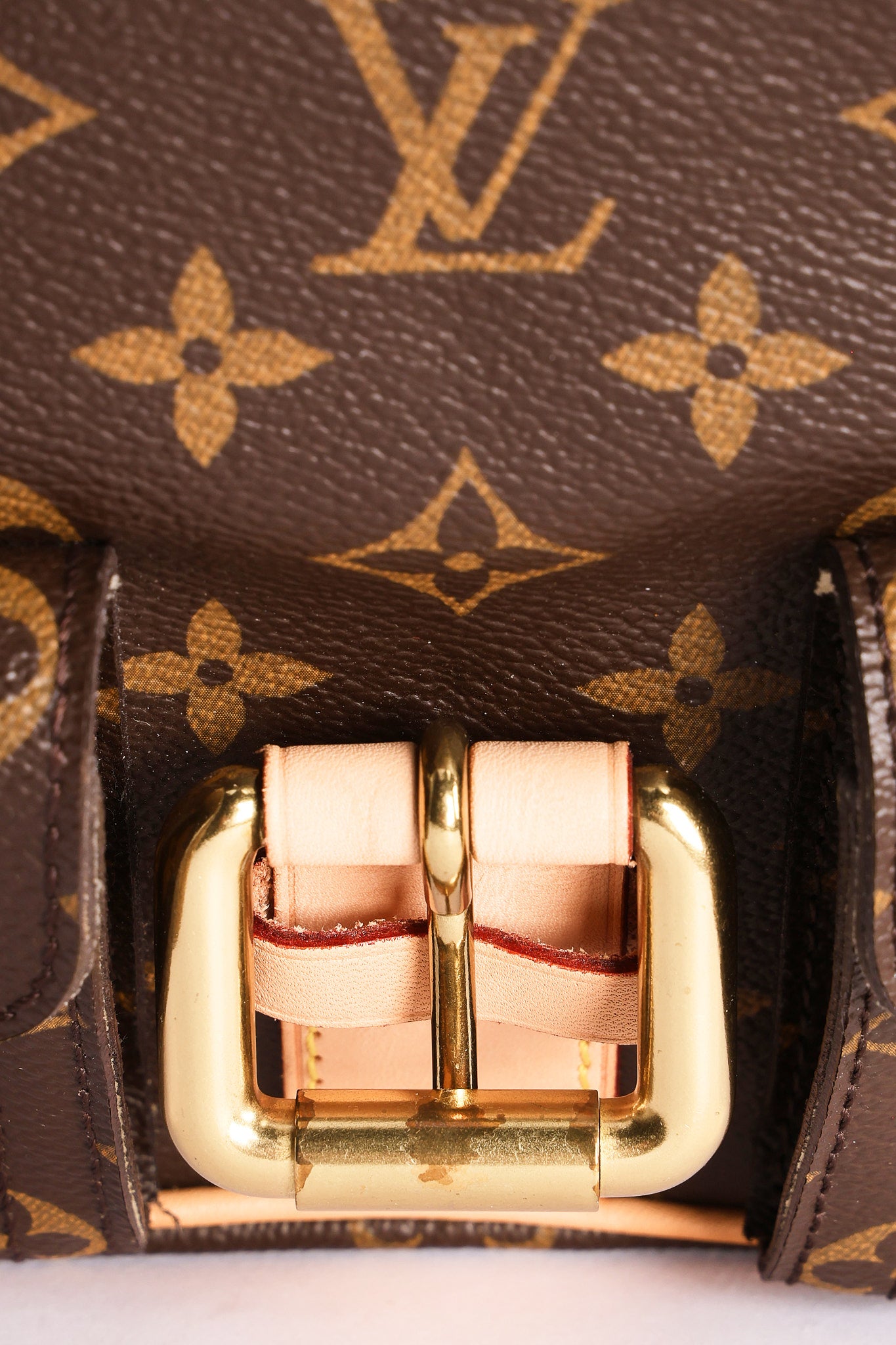 Louis Vuitton Monogram Hudson PM