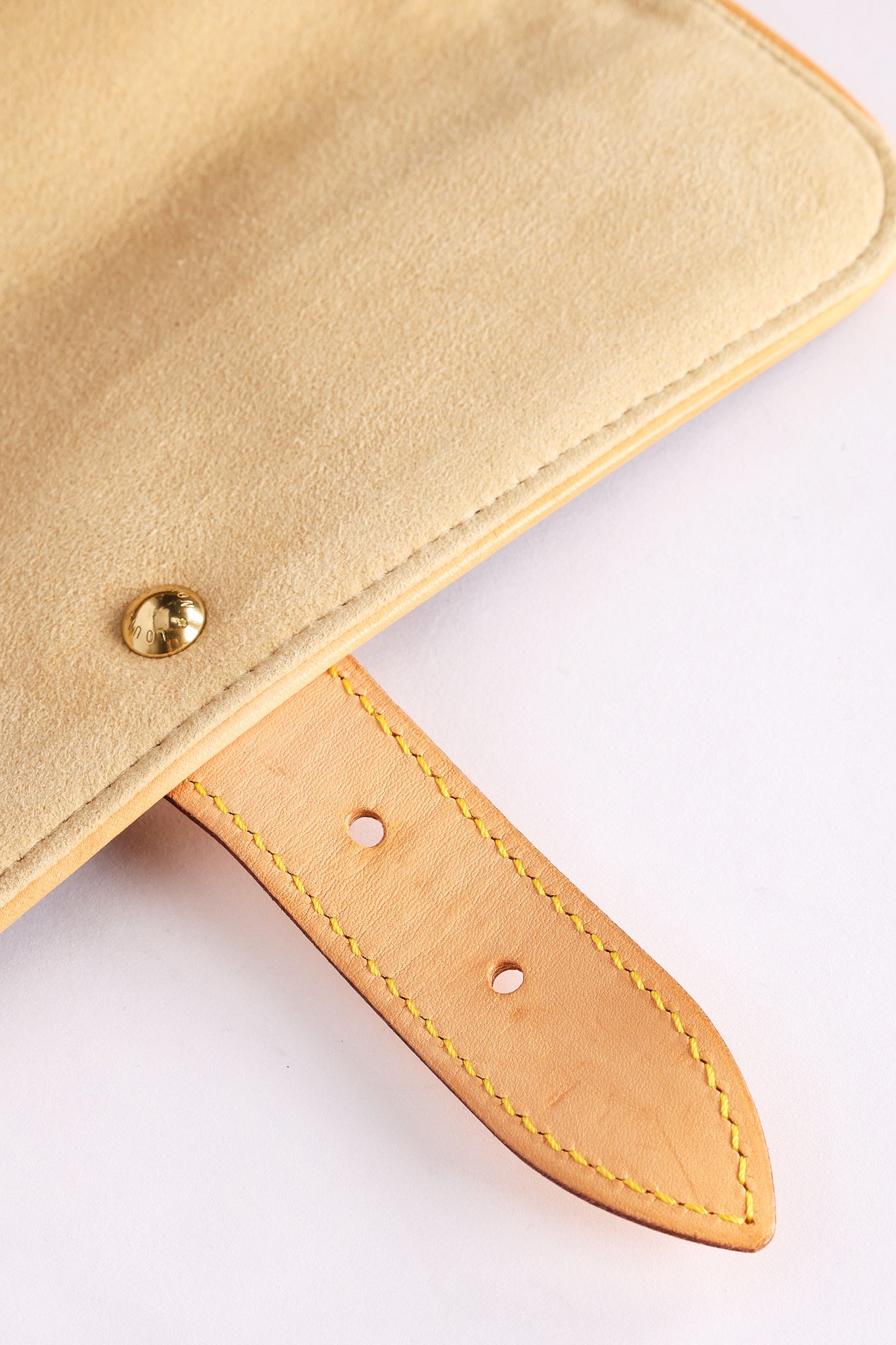 Louis Vuitton Monogram Hudson PM
