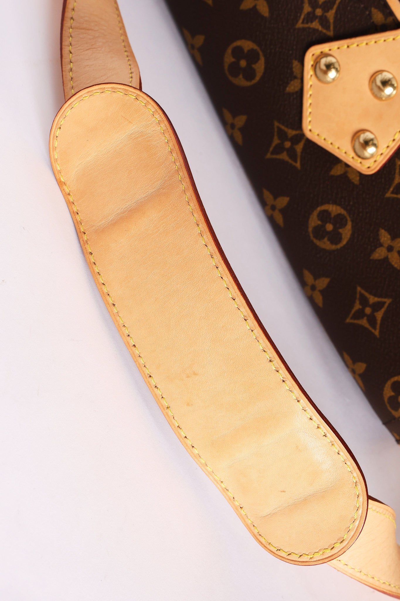 Louis Vuitton Monogram Hudson PM