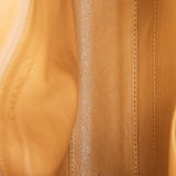 Chanel Bag Metallic Beige Caviar BGHW