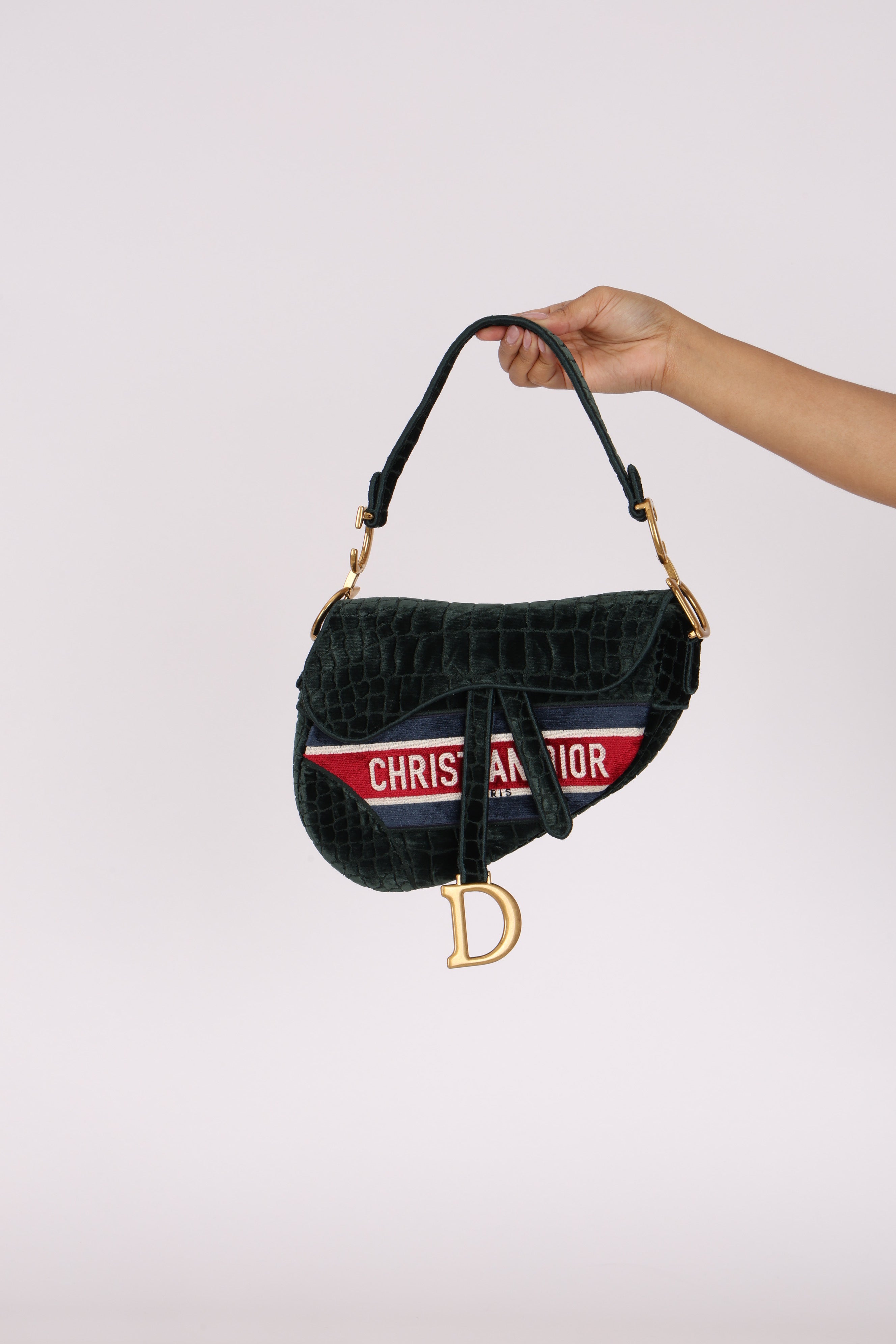 Dior Medium Saddle Bag Velvet Embroidered Crocodile Effect