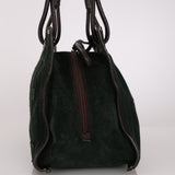 Loewe Anagram Suede Tote