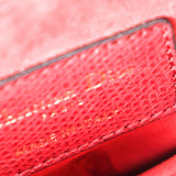 Dior Mini Saddle with Guitar Strap