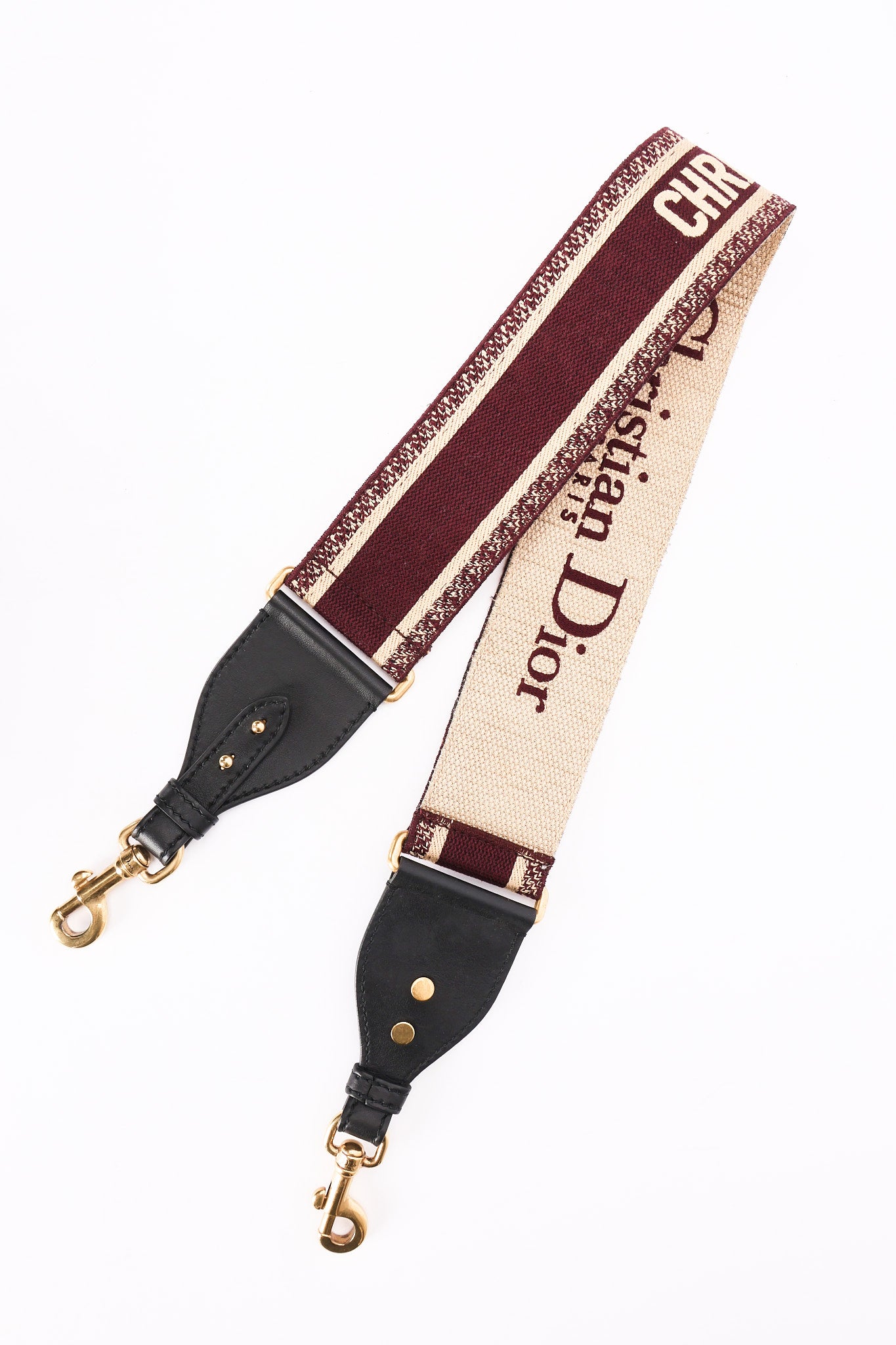 Dior Mini Saddle with Guitar Strap