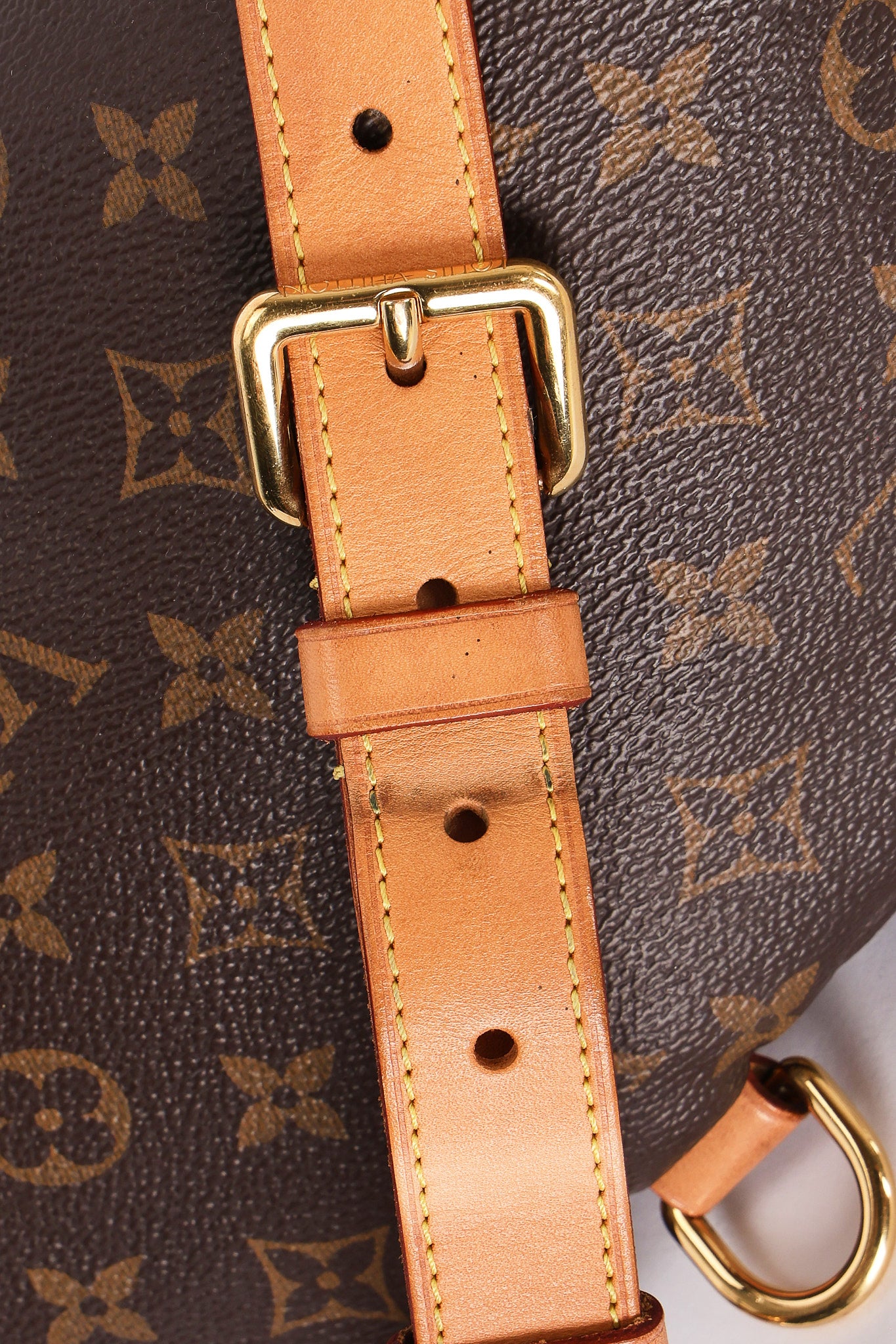 Louis Vuitton Monogram Bum Bag