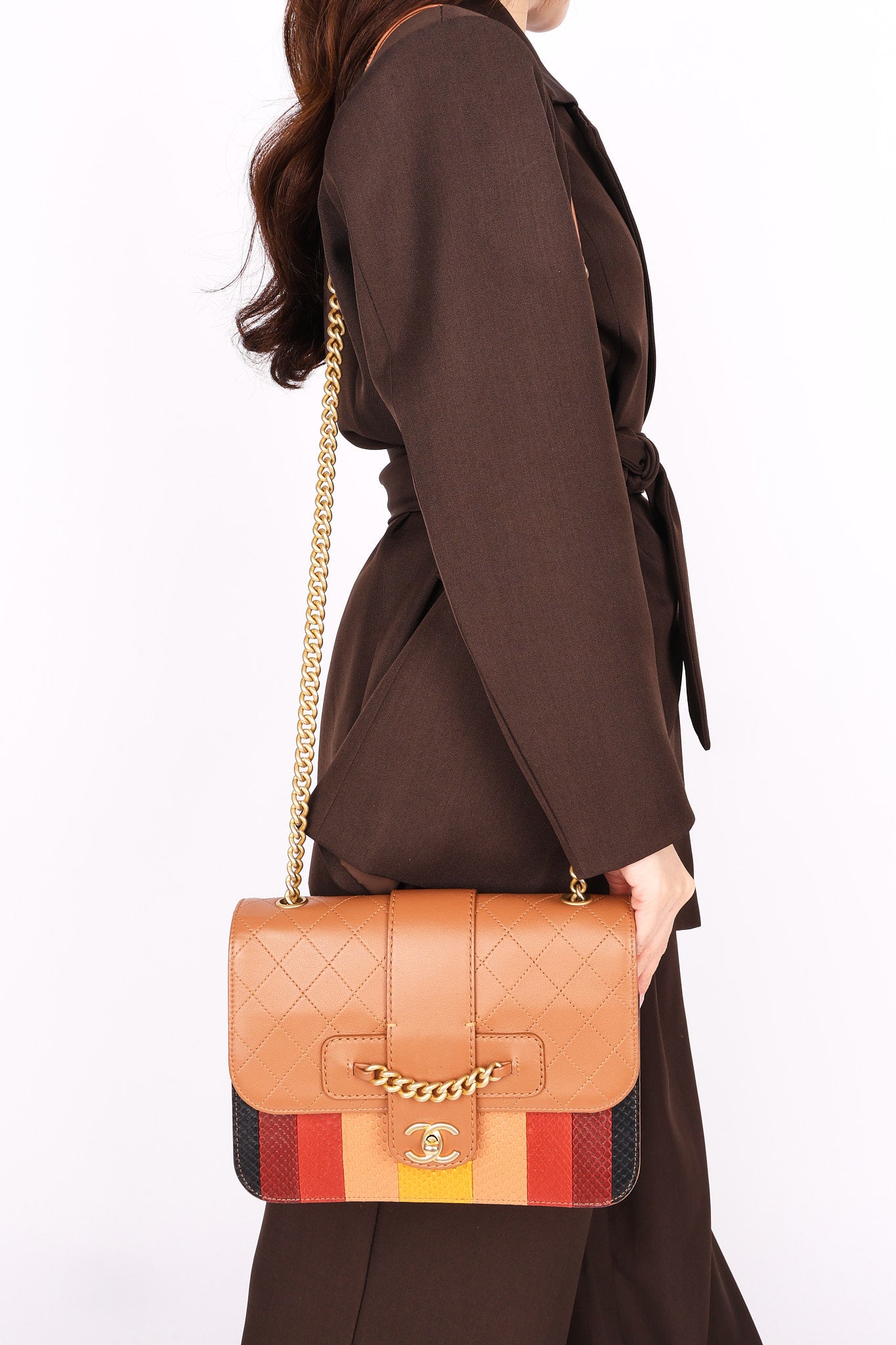 Chanel Bag Snakeskin and Calfskin AGHW