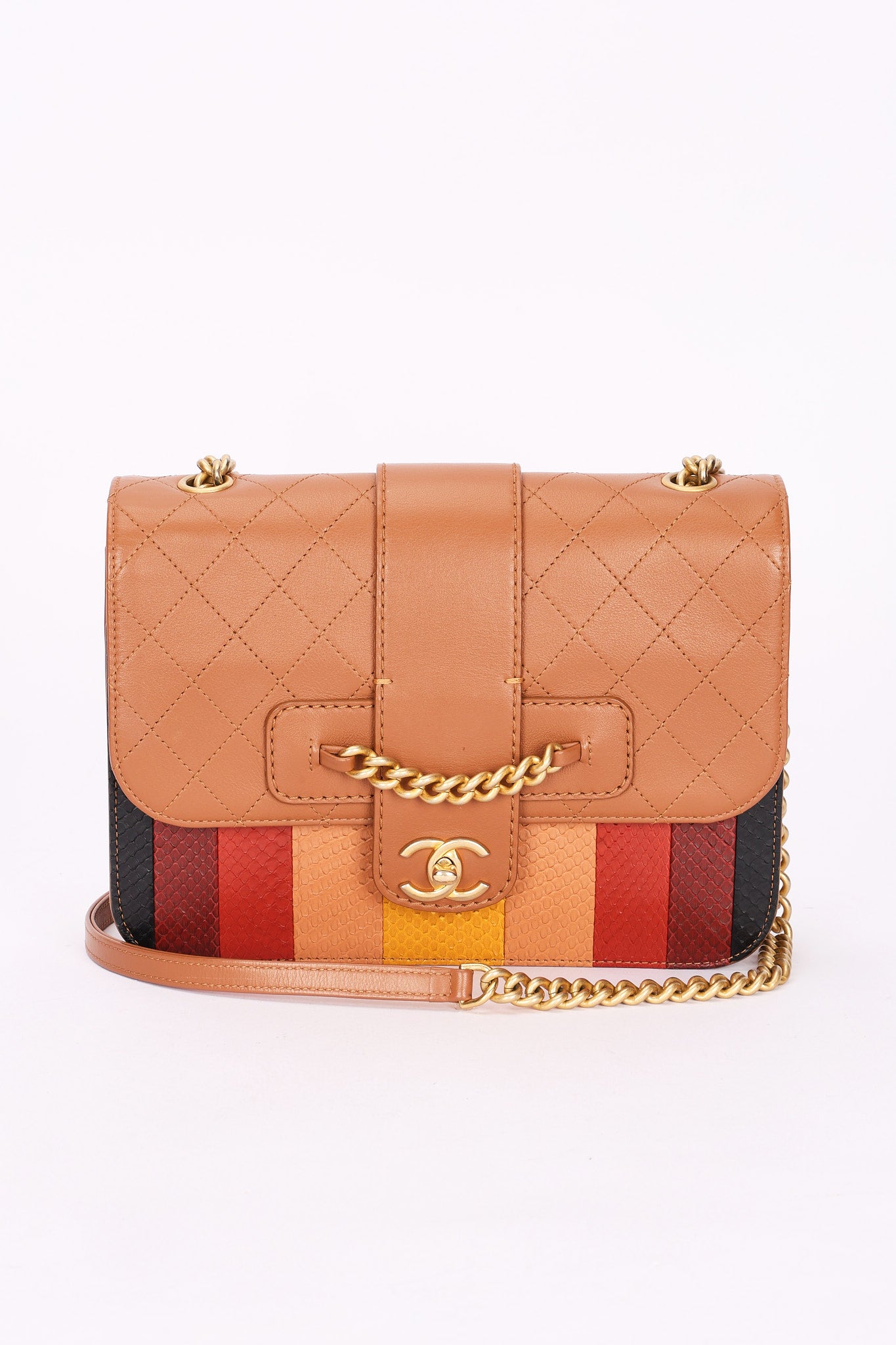 Chanel Bag Snakeskin and Calfskin AGHW
