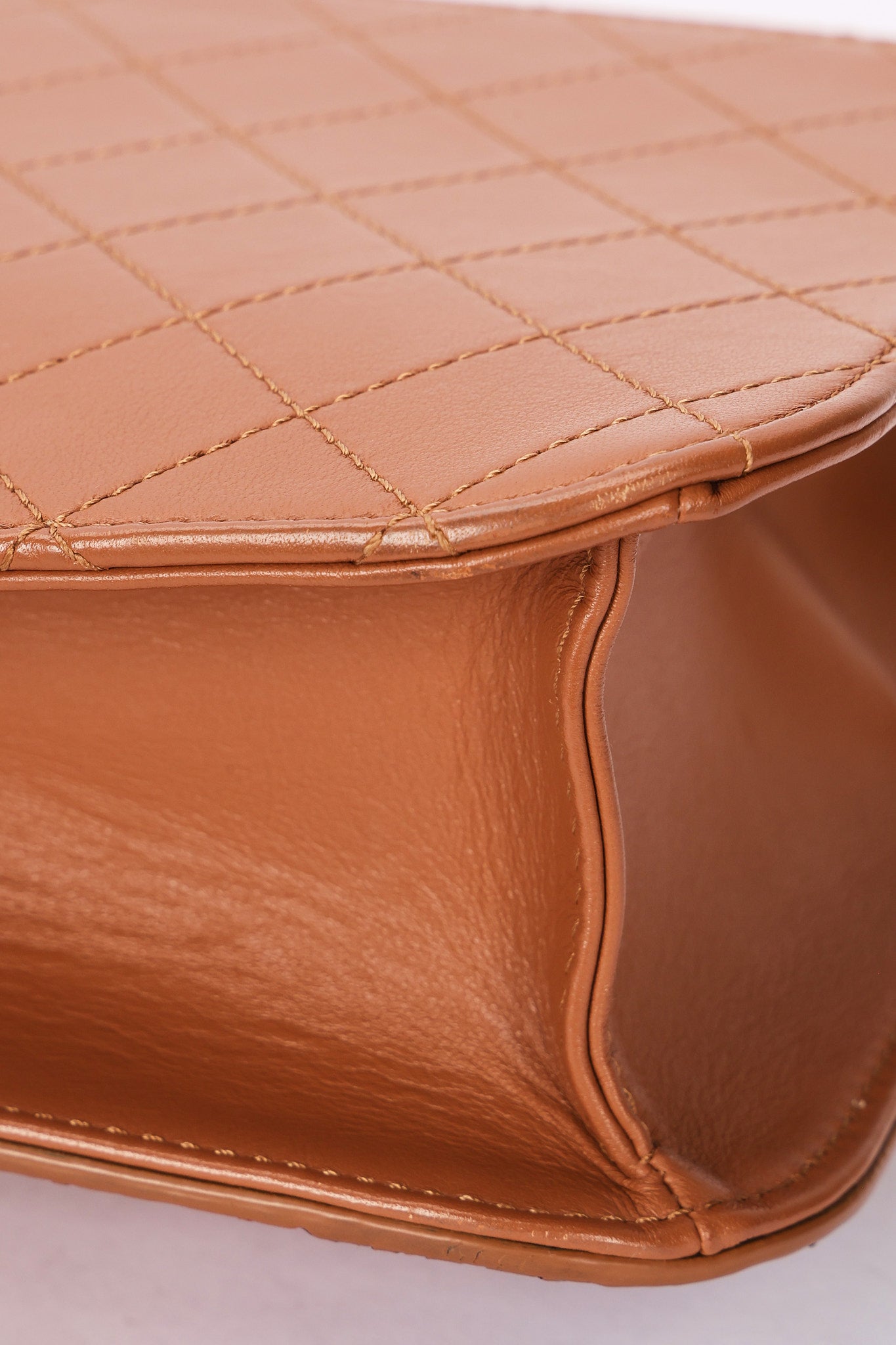 Chanel Bag Snakeskin and Calfskin AGHW