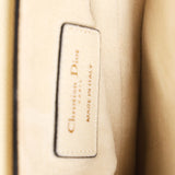 Dior Mini Saddle with Guitar Strap
