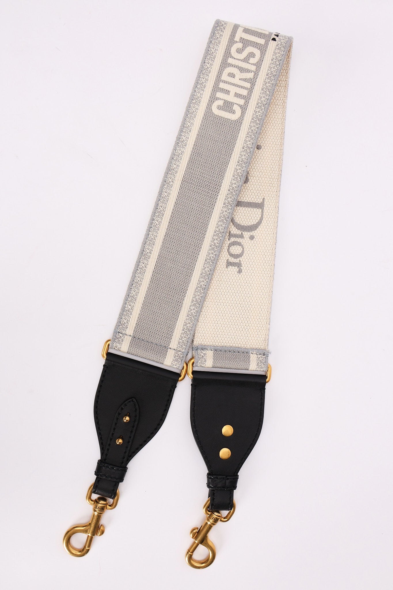 Dior Trotter Medium Saddle with Guitar Strap