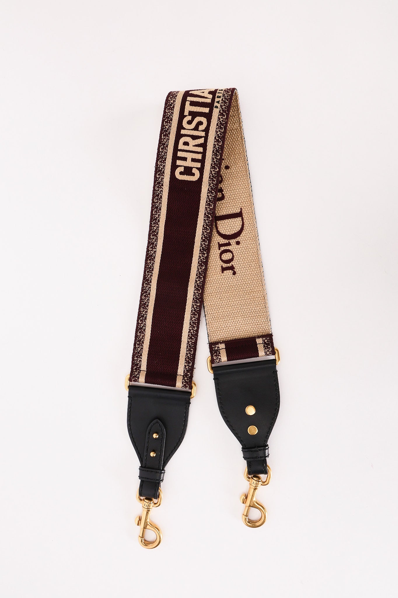 Dior Mini Saddle with Guitar Strap