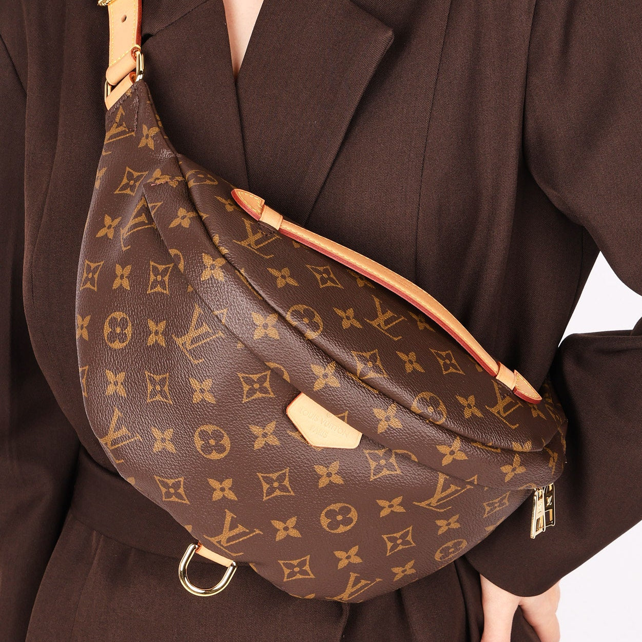 Louis Vuitton Monogram Bumbag