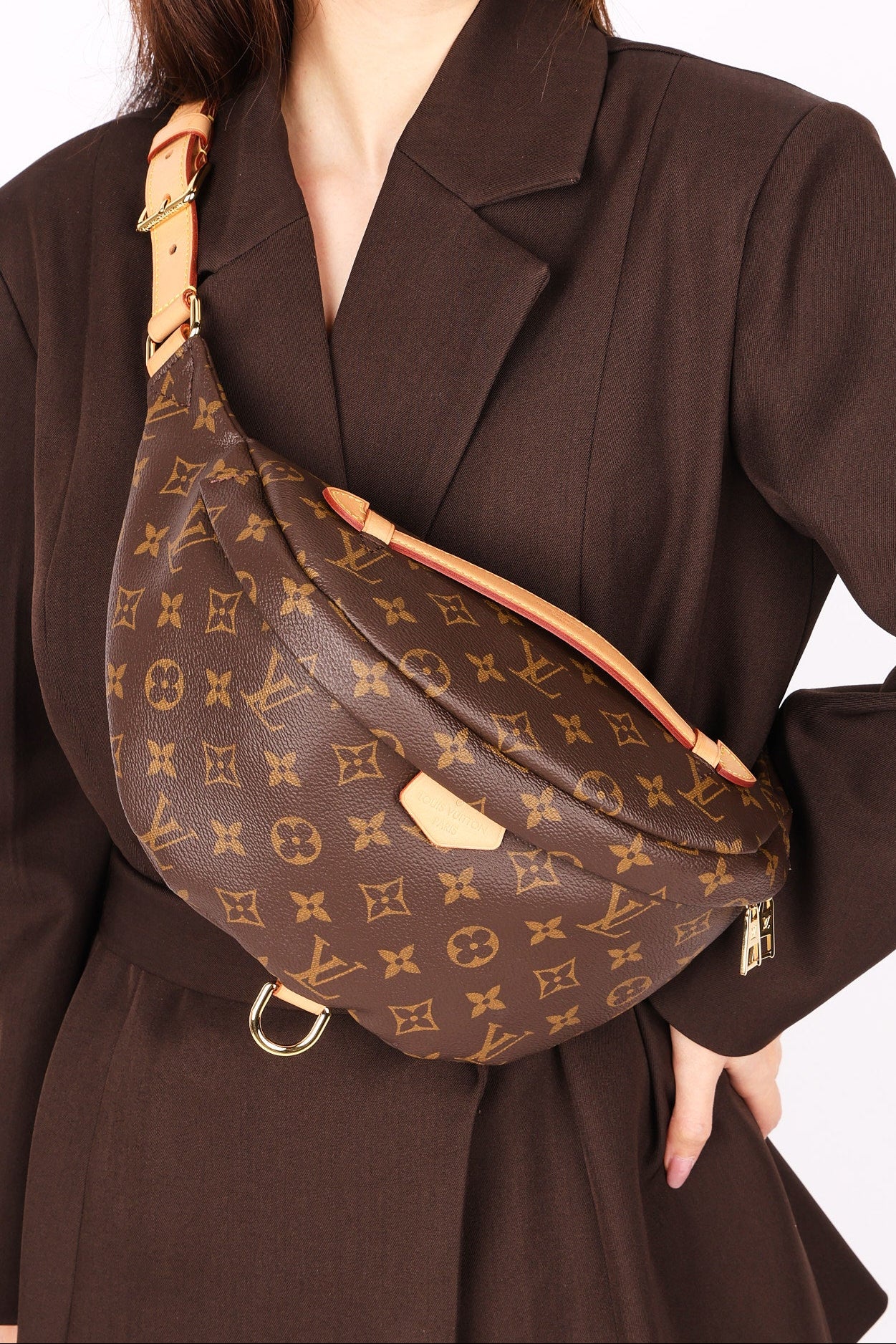 Louis Vuitton Monogram Bumbag
