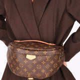 Louis Vuitton Monogram Bumbag