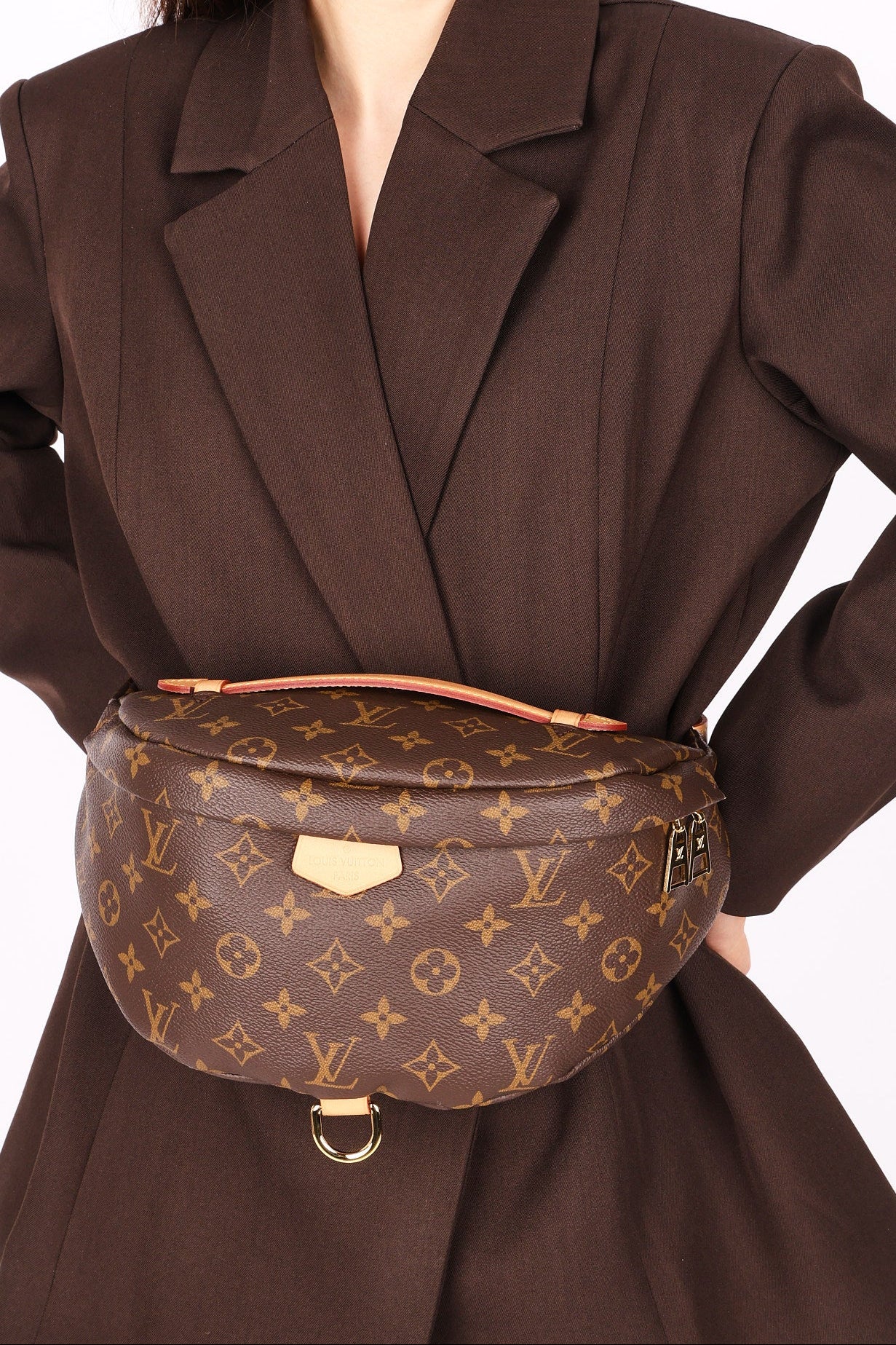 Louis Vuitton Monogram Bumbag
