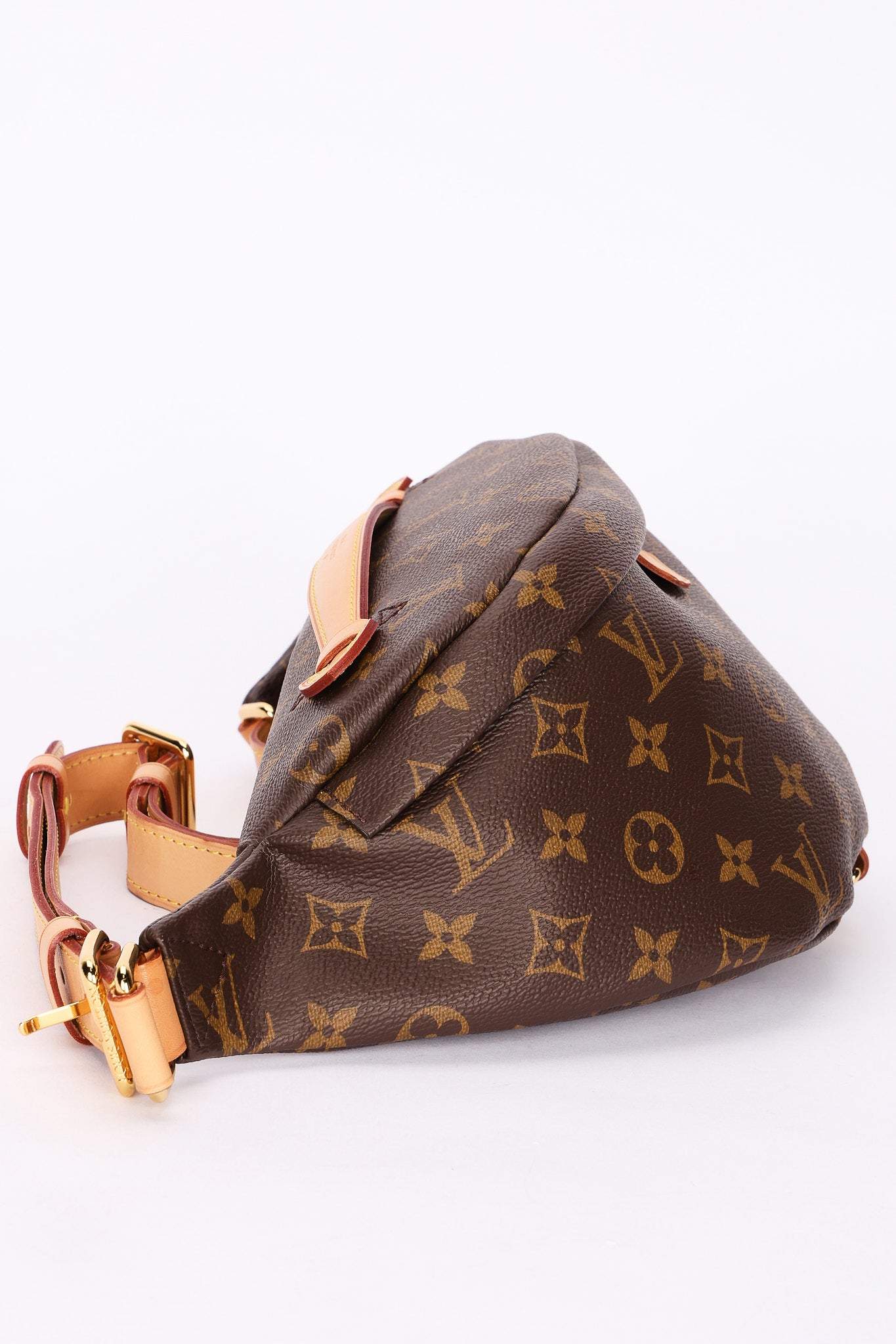 Louis Vuitton Monogram Bumbag