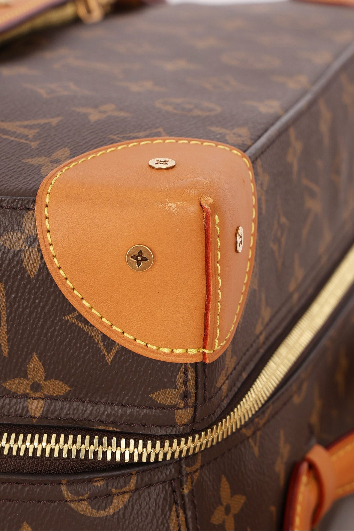 Louis Vuitton Monogram Trunk Backpack