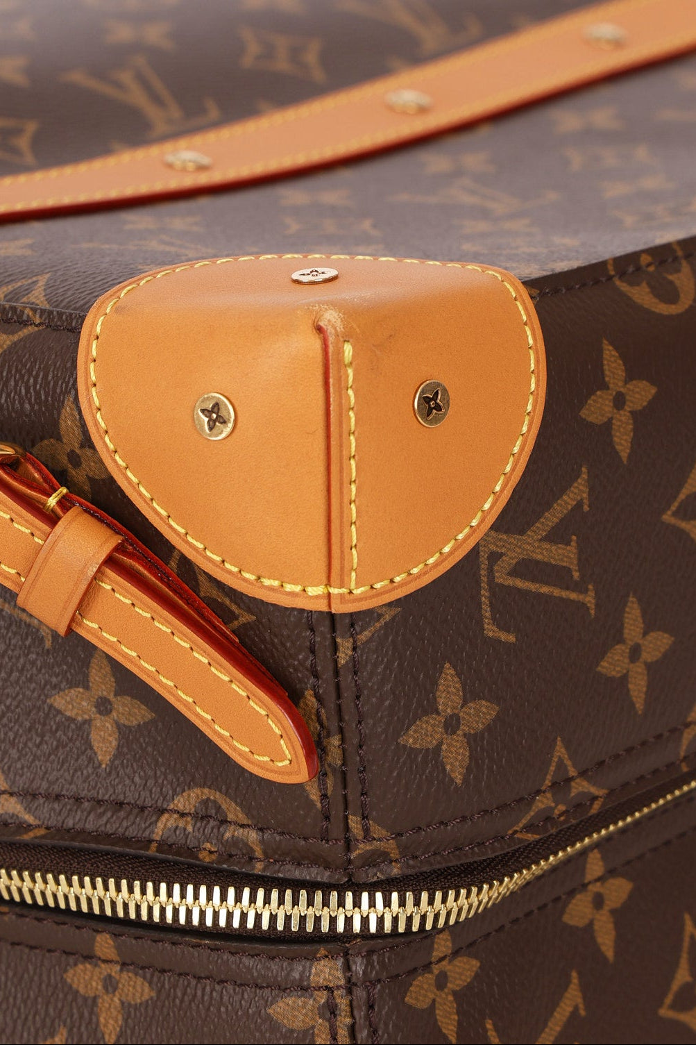 Louis Vuitton Monogram Trunk Backpack