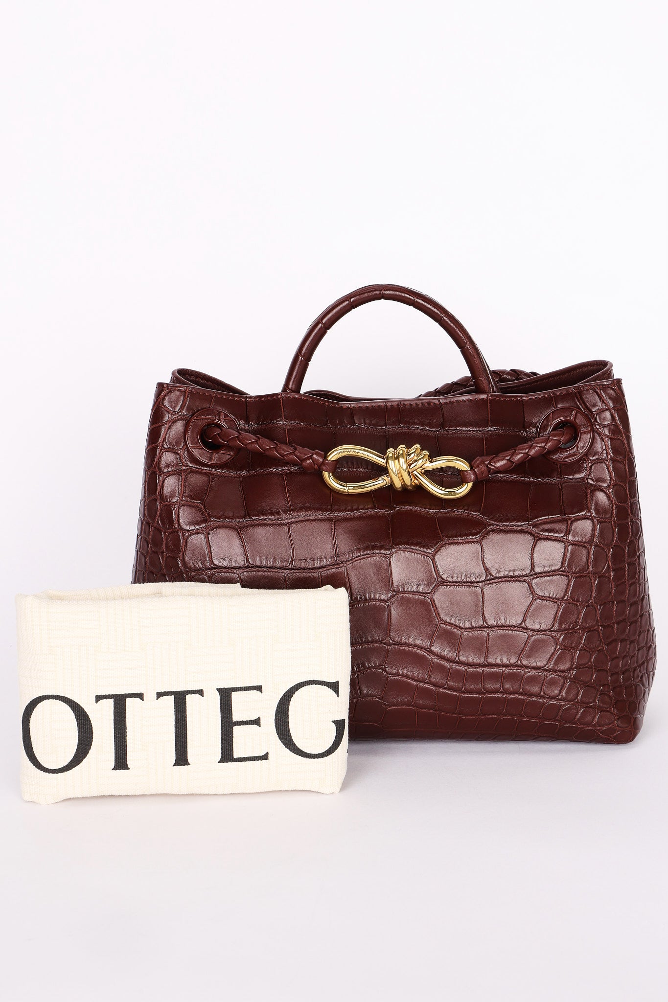 Bottega Veneta Alligator Small Andiamo Bag