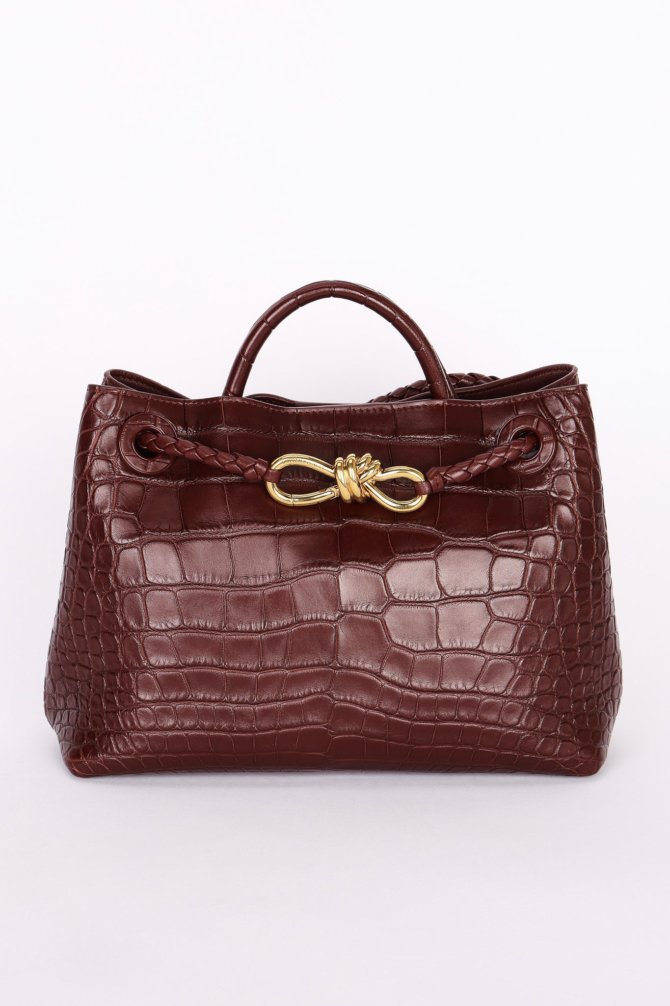 Bottega Veneta Alligator Small Andiamo Bag