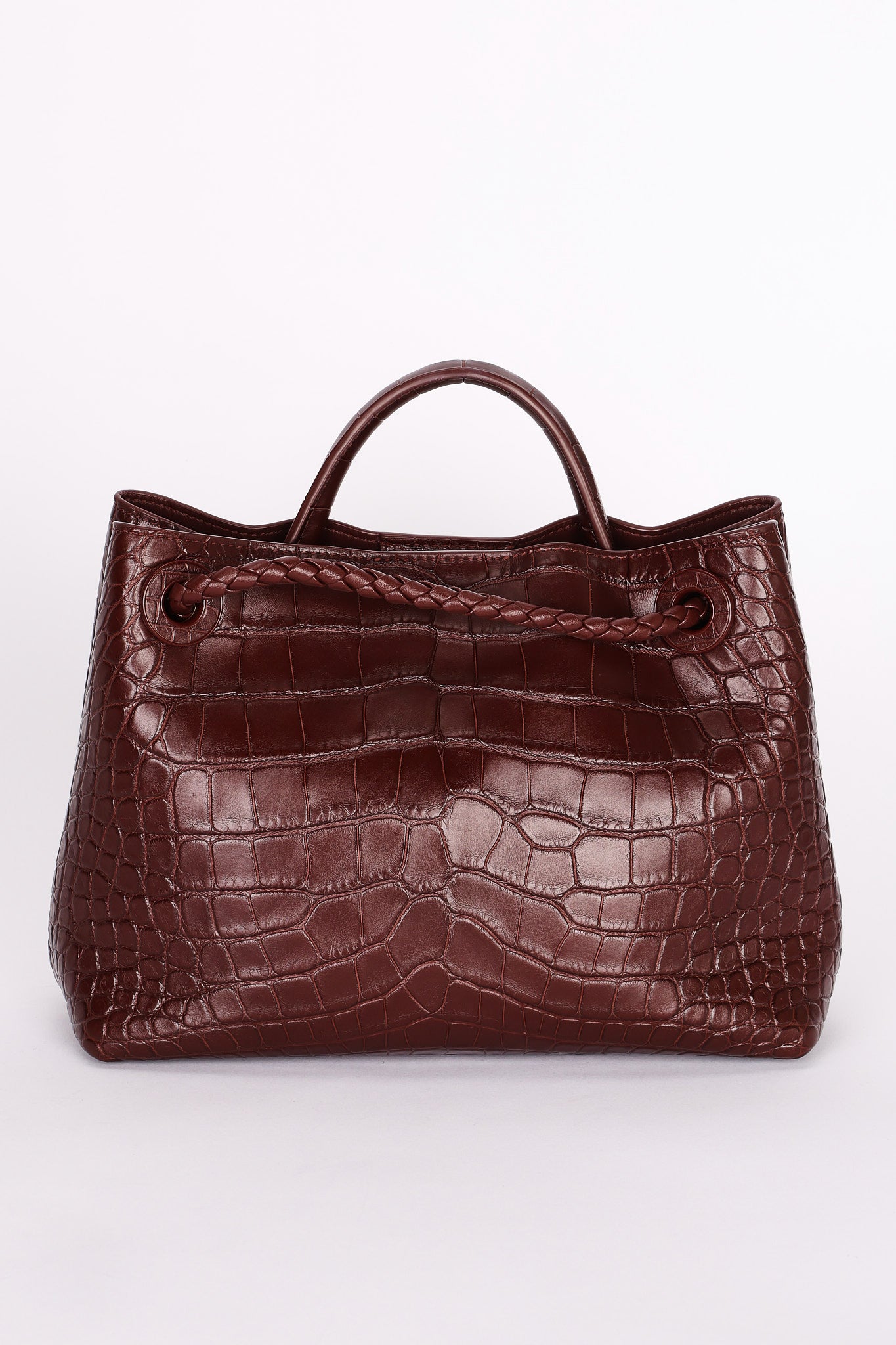 Bottega Veneta Alligator Small Andiamo Bag