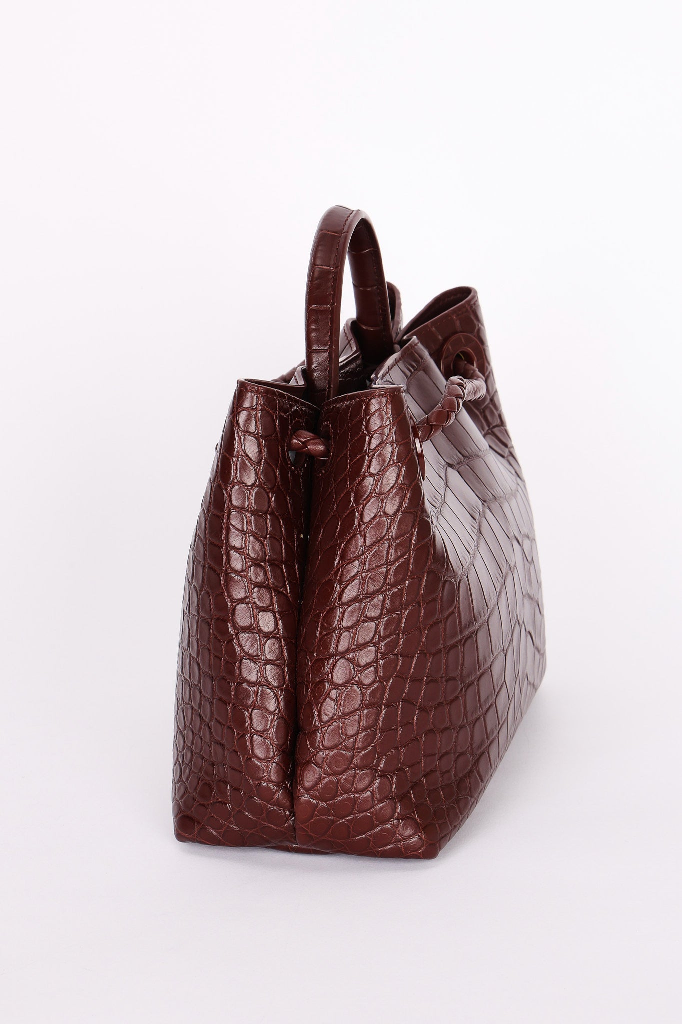 Bottega Veneta Alligator Small Andiamo Bag