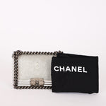 Chanel Galuchat Stingray Mini Boy Bag Silver RHW