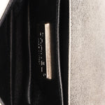 Chanel Galuchat Stingray Mini Boy Bag Silver RHW