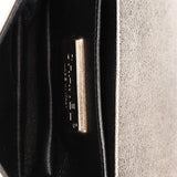 Chanel Galuchat Stingray Mini Boy Bag Silver RHW
