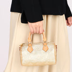Louis Vuitton Monoglam Speedy Nano Gold