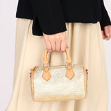 Louis Vuitton Monoglam Speedy Nano Gold