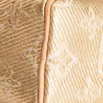 Louis Vuitton Monoglam Speedy Nano Gold