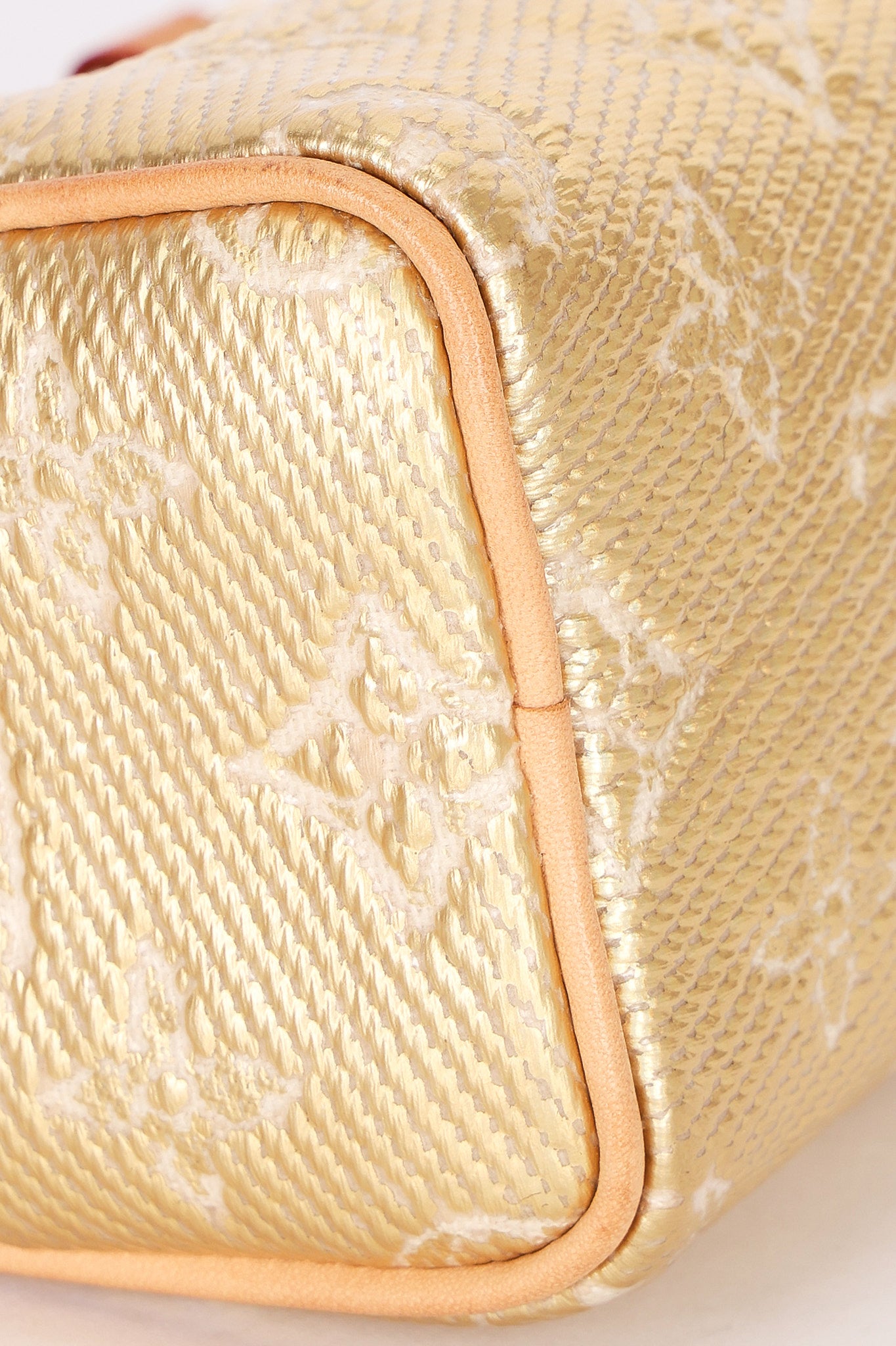 Louis Vuitton Monoglam Speedy Nano Gold