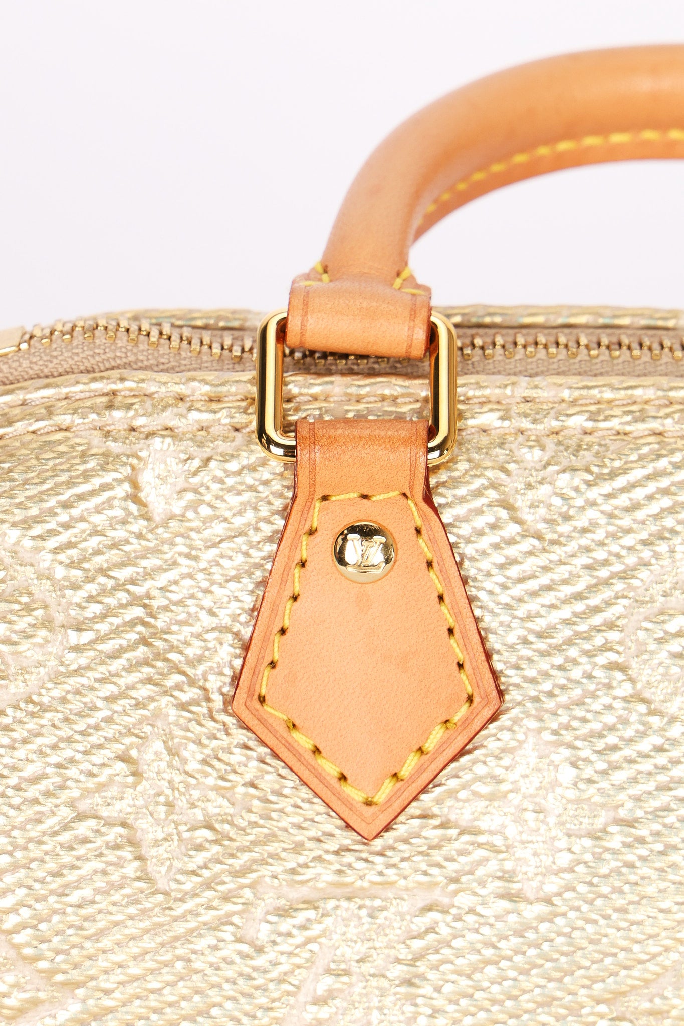Louis Vuitton Monoglam Speedy Nano Gold