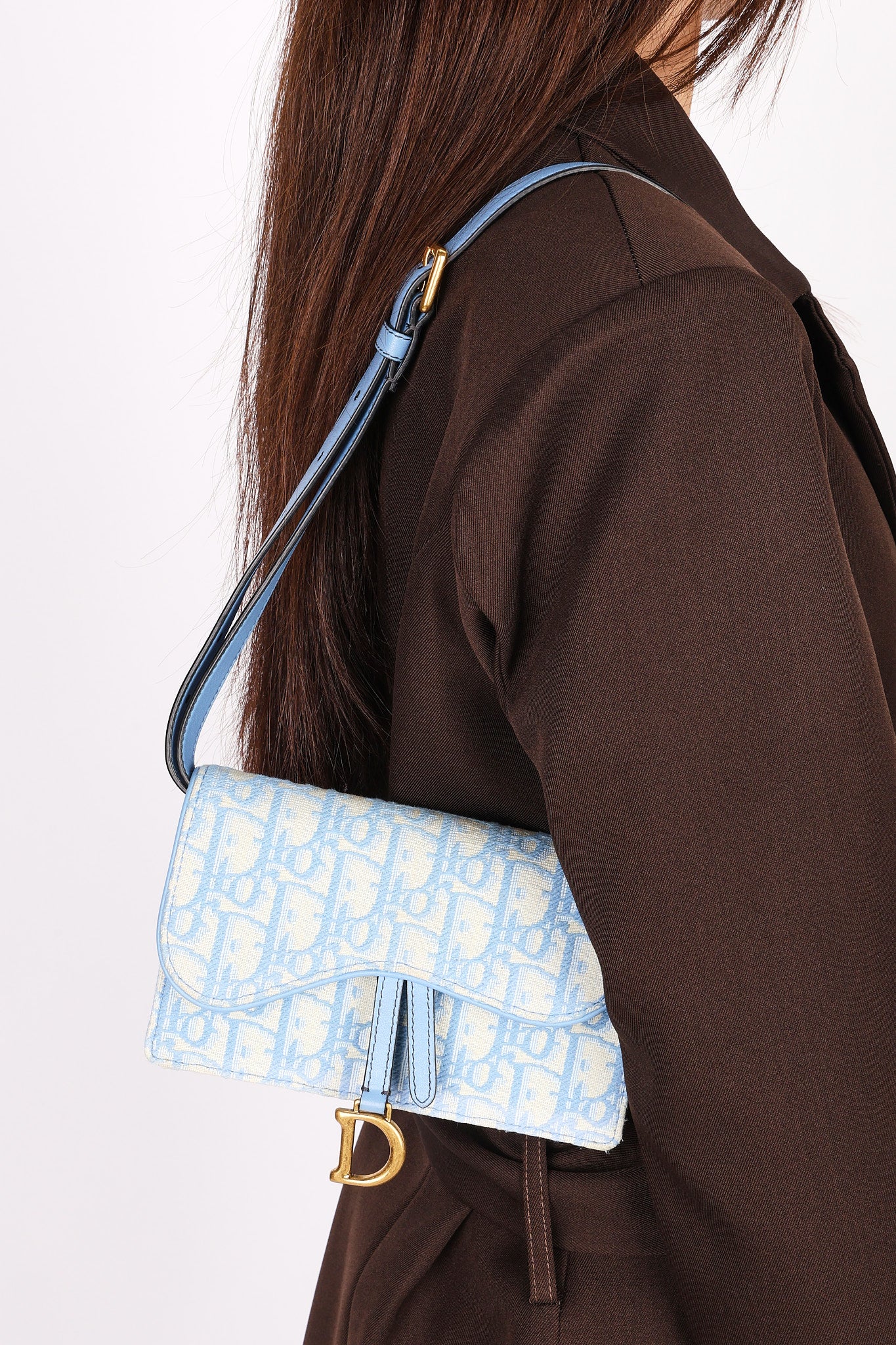 Christian Dior Oblique Saddle Belt Bag