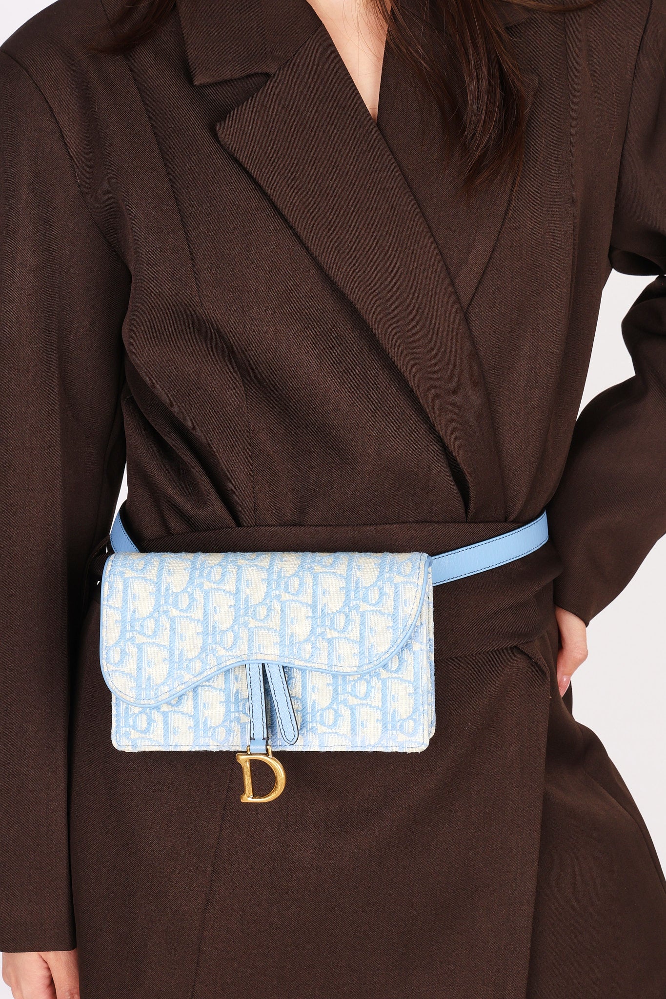 Christian Dior Oblique Saddle Belt Bag