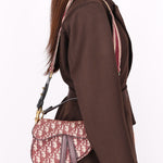 Dior Trotter Mini Saddle with Guitar Strap