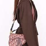 Dior Trotter Mini Saddle with Guitar Strap