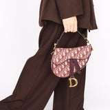 Dior Trotter Mini Saddle with Guitar Strap