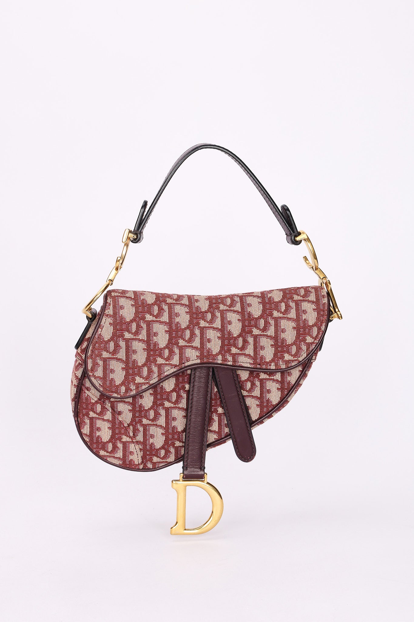 Dior Trotter Mini Saddle with Guitar Strap