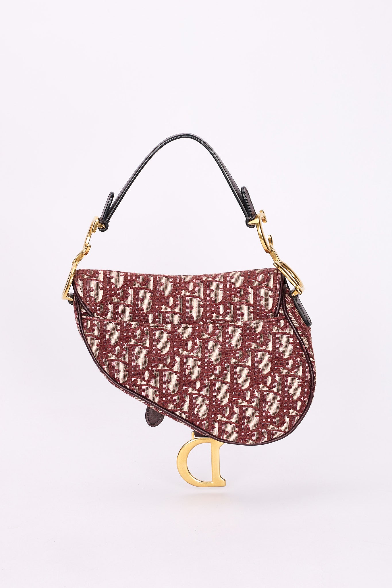 Dior Trotter Mini Saddle with Guitar Strap
