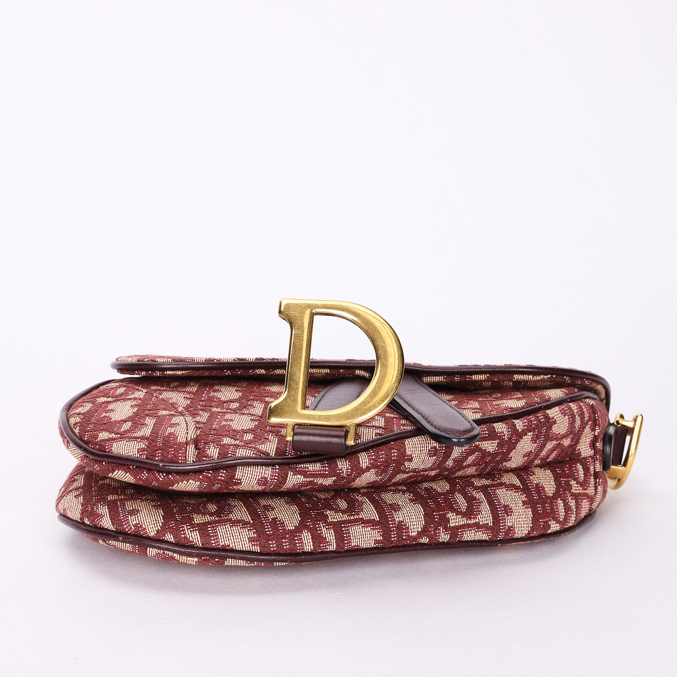 Dior Trotter Mini Saddle with Guitar Strap