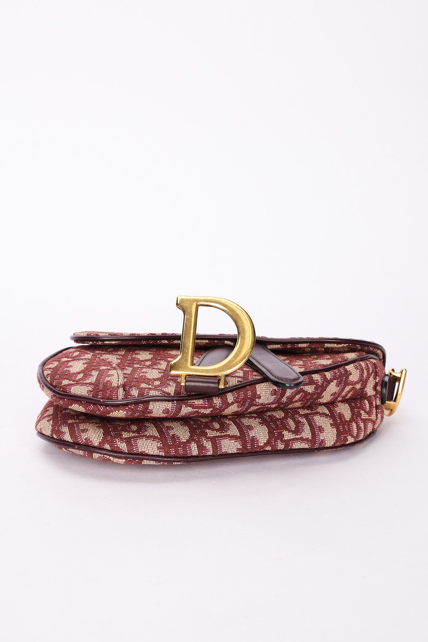 Dior Trotter Mini Saddle with Guitar Strap