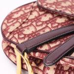 Dior Trotter Mini Saddle with Guitar Strap
