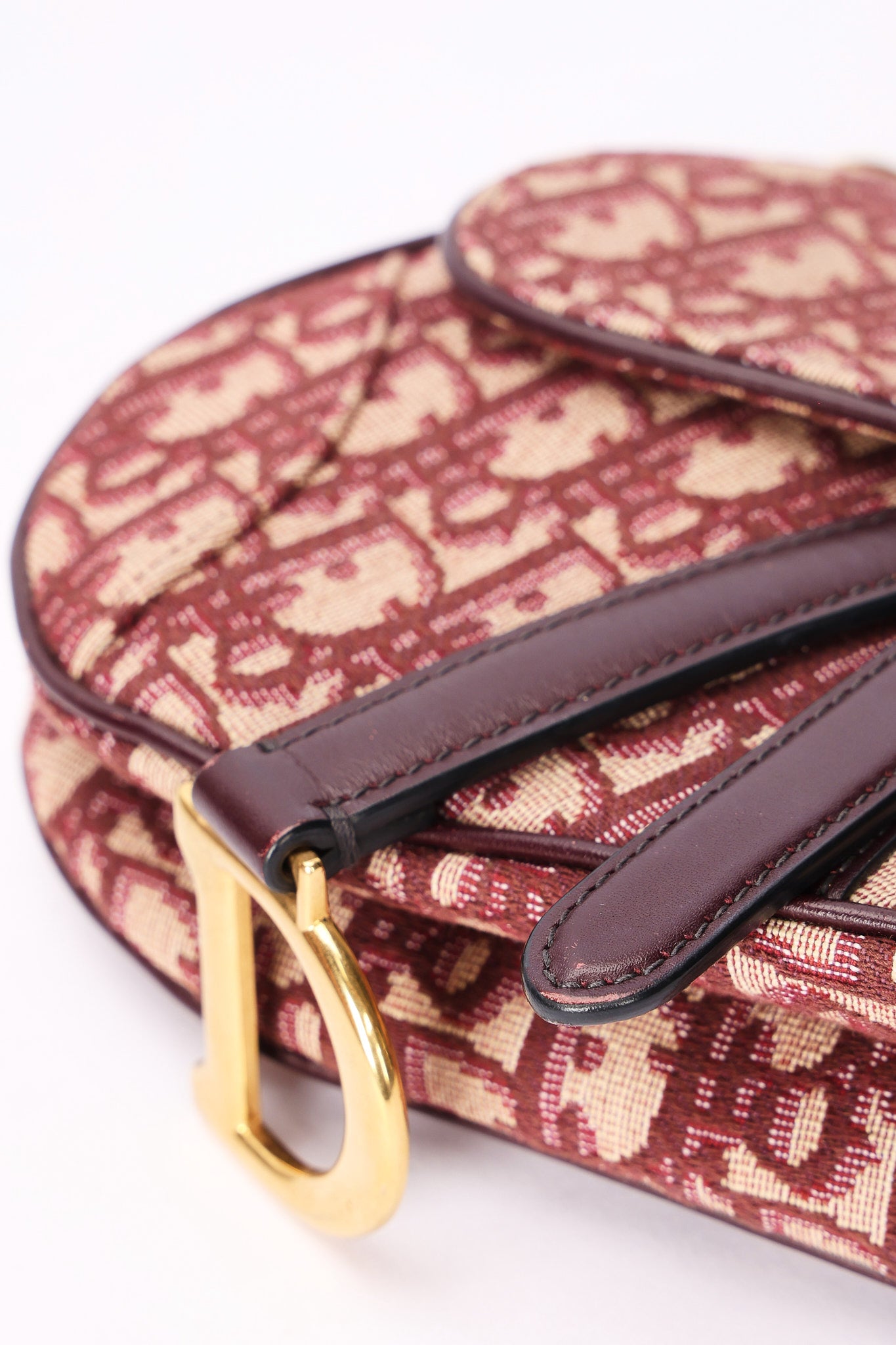 Dior Trotter Mini Saddle with Guitar Strap