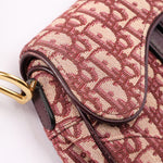 Dior Trotter Mini Saddle with Guitar Strap