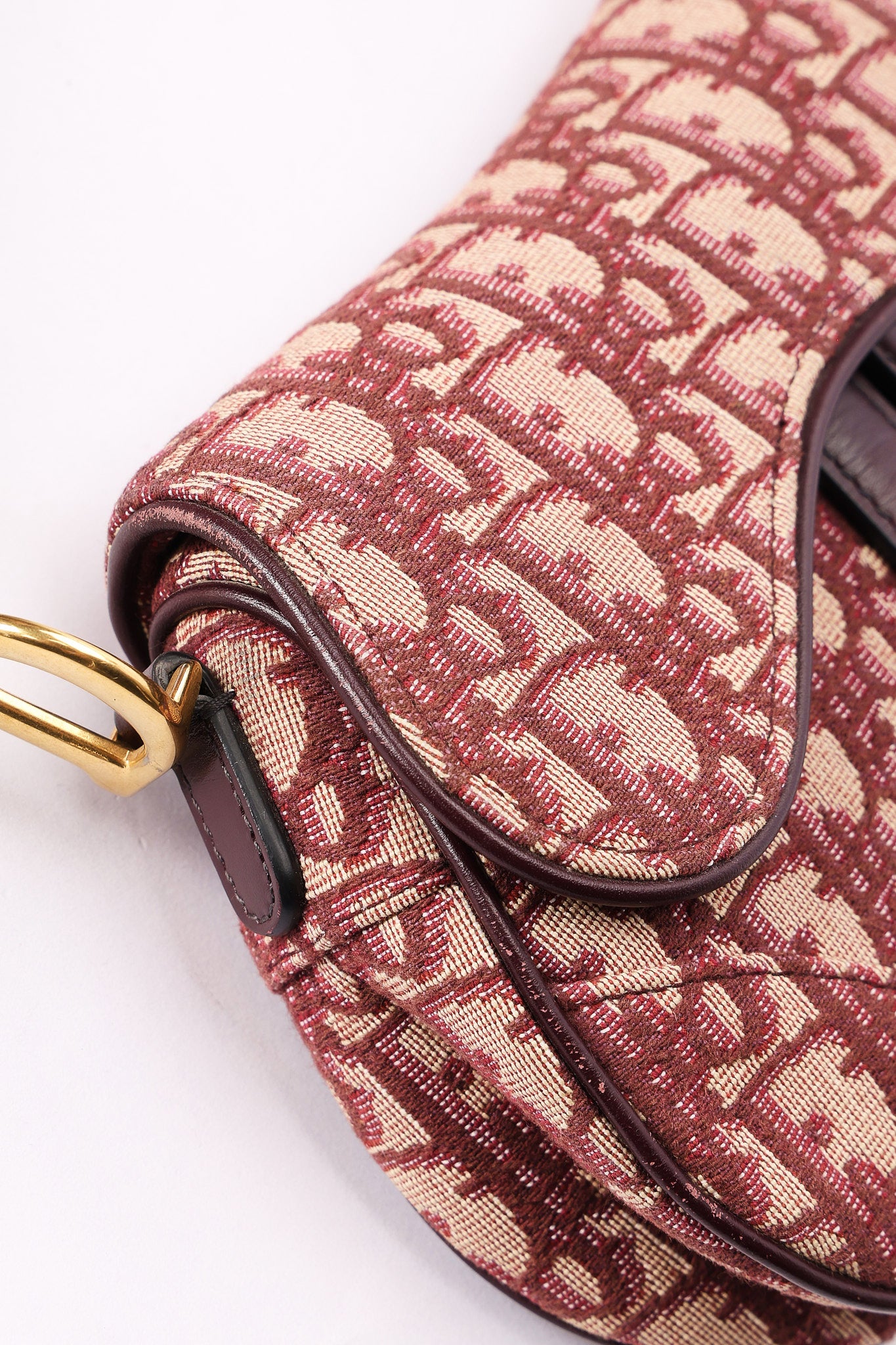 Dior Trotter Mini Saddle with Guitar Strap