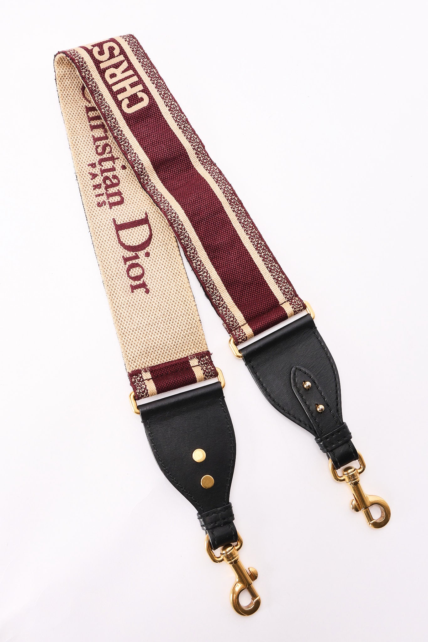 Dior Trotter Mini Saddle with Guitar Strap